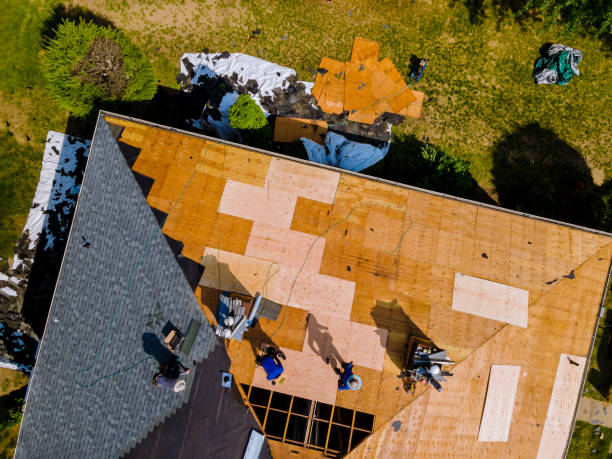 Roof Repair Estimates in Westville, IL