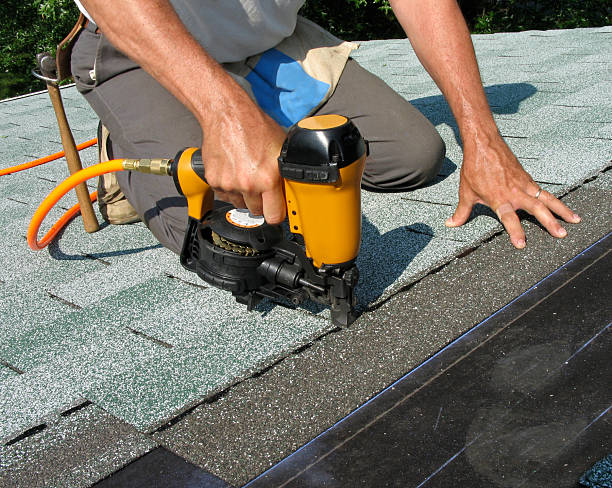 Best Roof Gutter Cleaning  in Westvle, IL